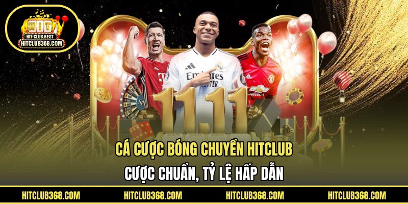Cá cược bóng chuyền HITCLUB