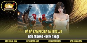 Đá gà Campuchia